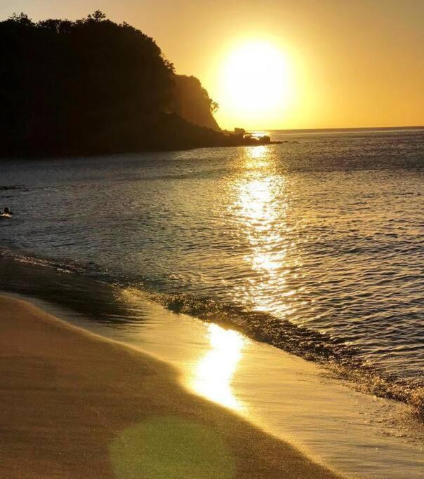 Caraibes Grenat Piscine Privee 900m De Grande Anse * Deshaies