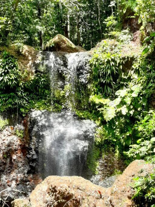 Caraibes Grenat Piscine Privee 900m De Grande Anse Hébergement de vacances