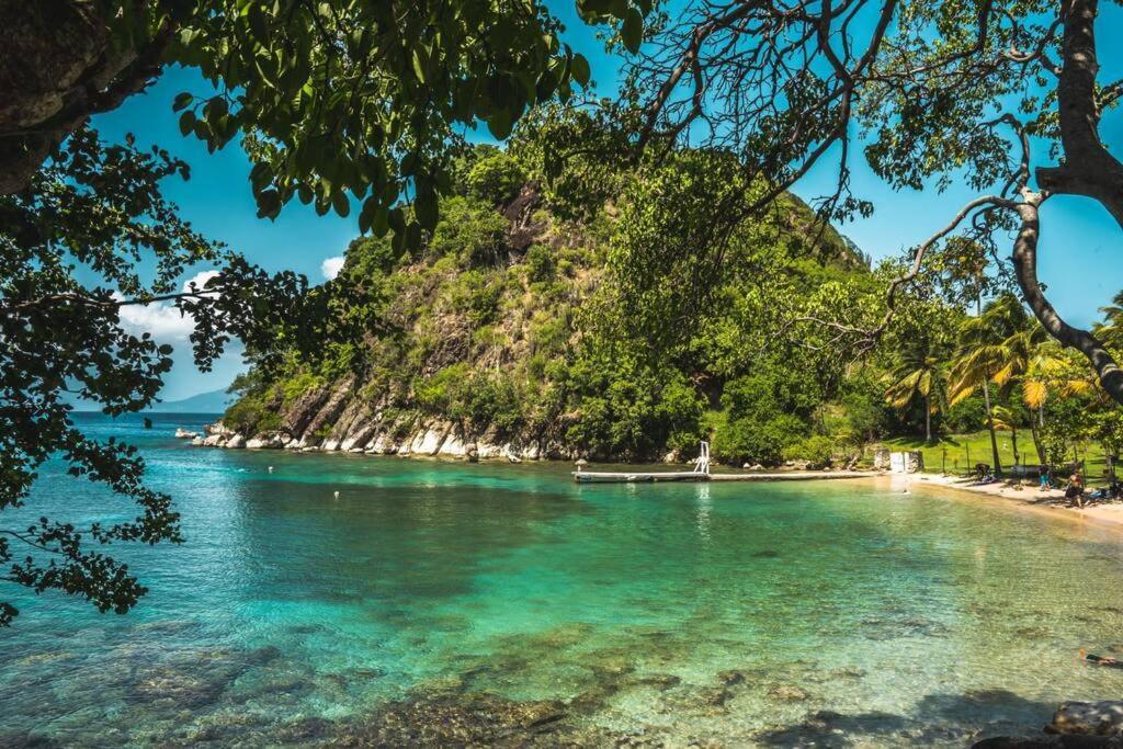 Caraibes Grenat Piscine Privee 900m De Grande Anse Hébergement de vacances