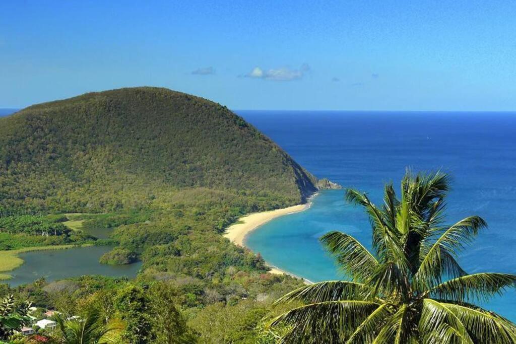Hébergement de vacances Caraibes Grenat Piscine Privee 900m De Grande Anse *