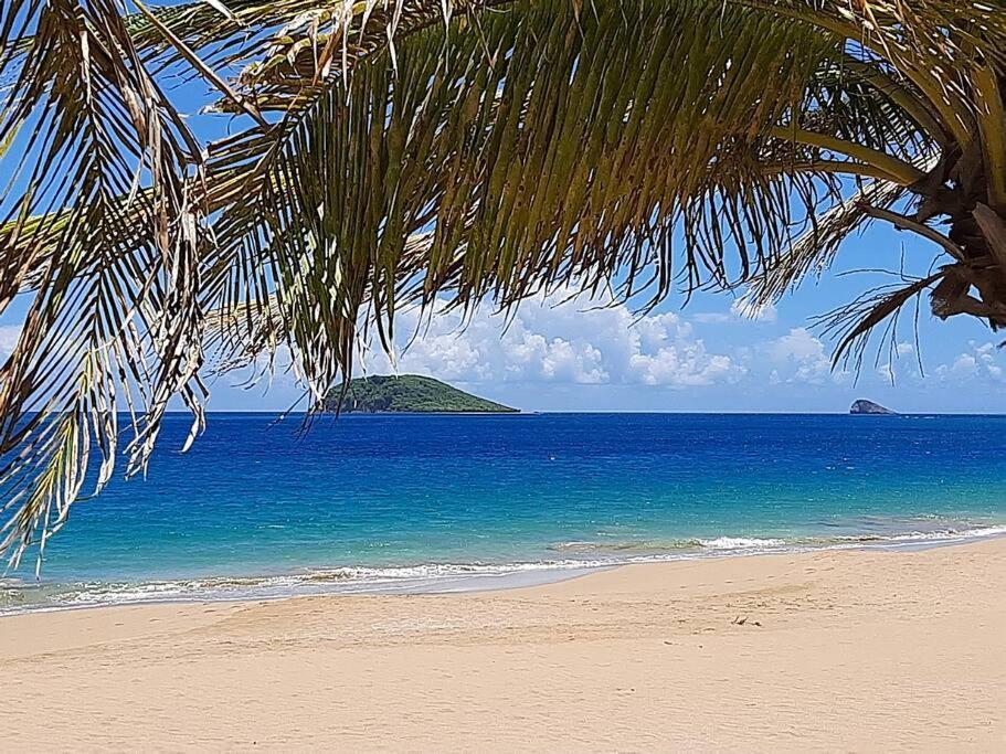 Caraibes Grenat Piscine Privee 900m De Grande Anse Hébergement de vacances