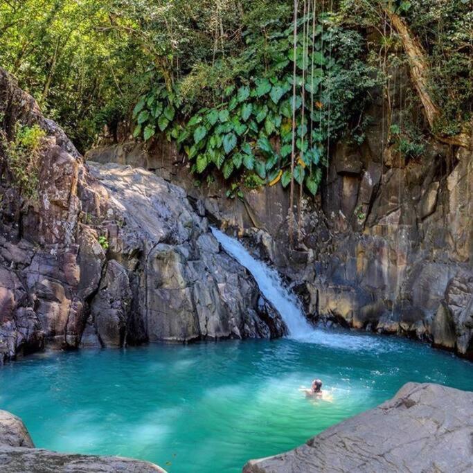 Hébergement de vacances Caraibes Grenat Piscine Privee 900m De Grande Anse