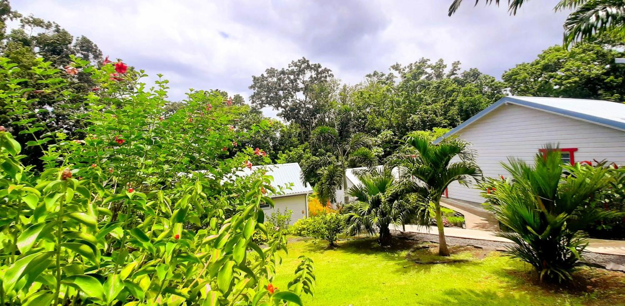 Caraibes Grenat Piscine Privee 900m De Grande Anse
