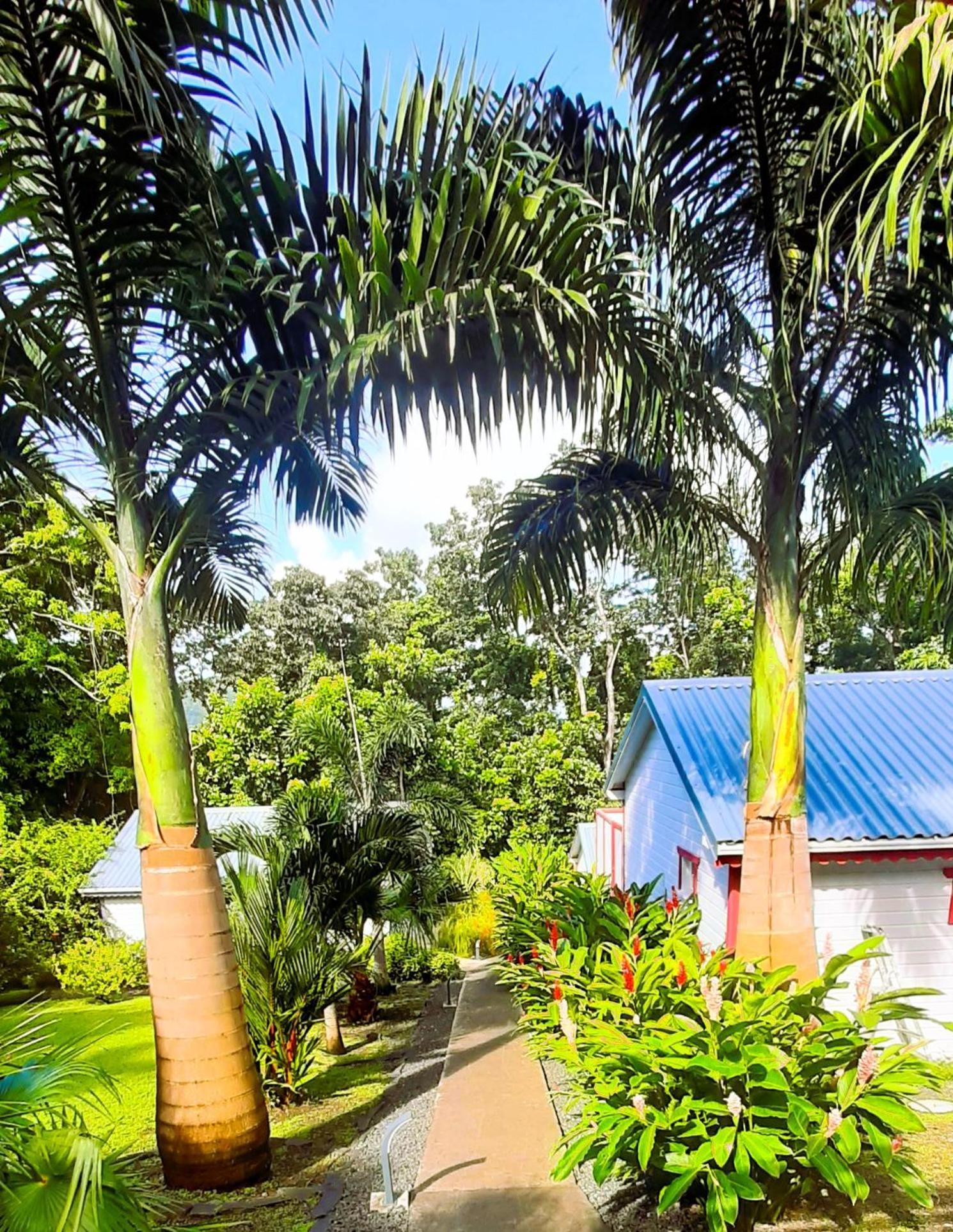 Caraibes Grenat Piscine Privee 900m De Grande Anse Hébergement de vacances *